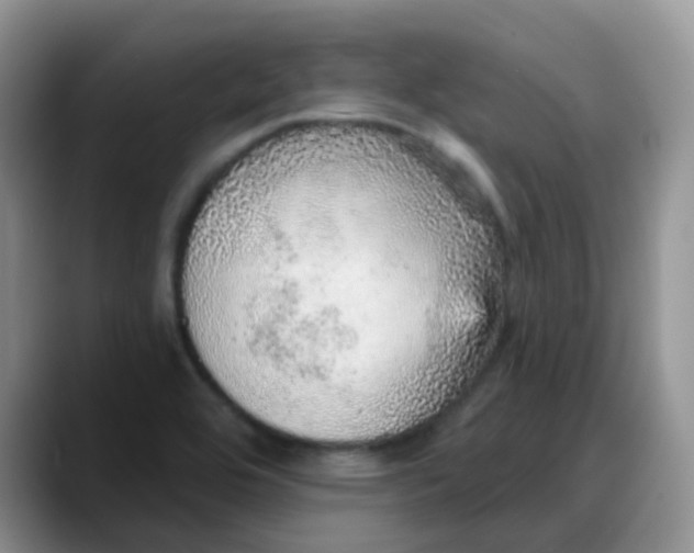 X0000088181464200705291942