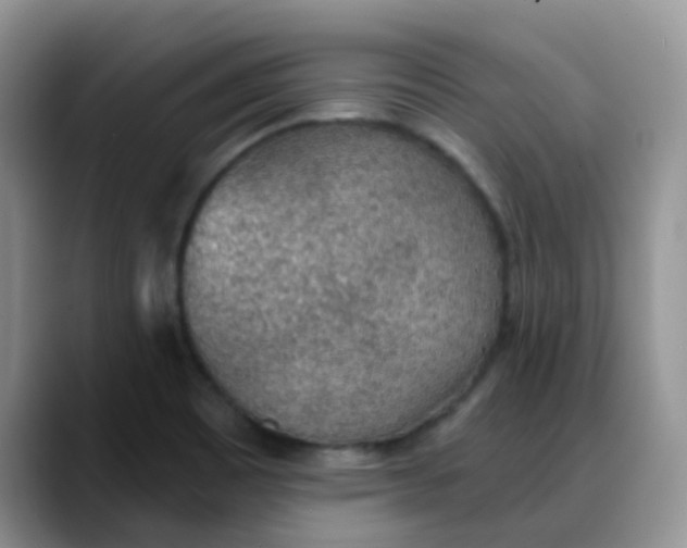 X0000088181465200705291942