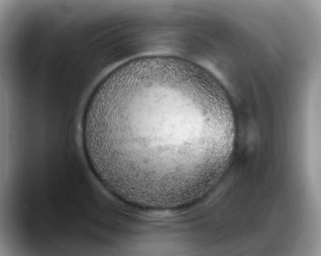 X0000088181468200705291942
