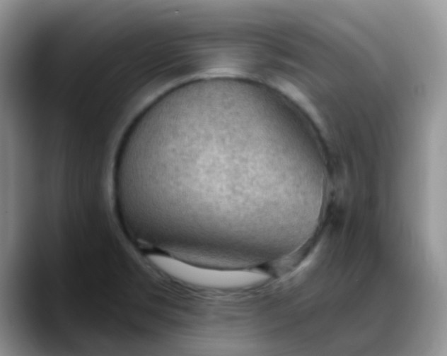 X0000088181469200705291942