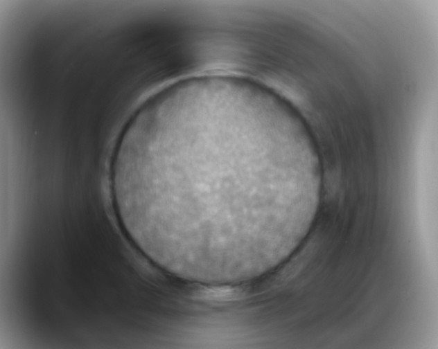 X0000088181470200705291942