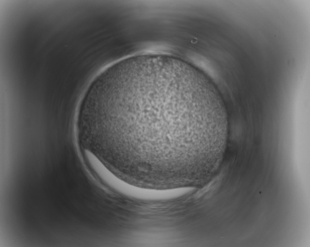 X0000088181471200705291942