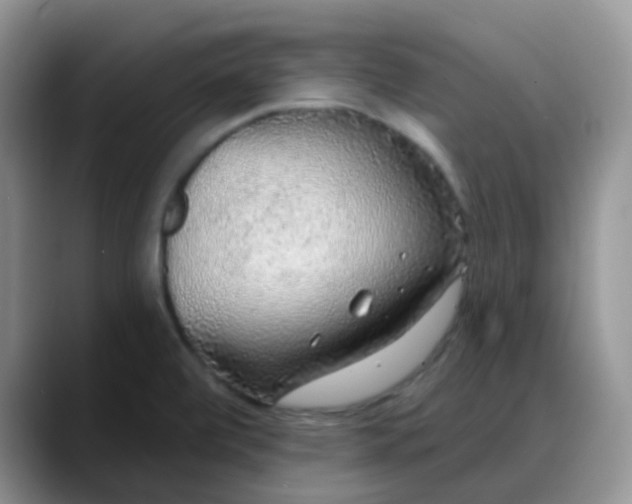 X0000088181472200705291942