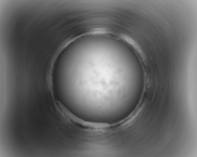 X0000088181473200705291942