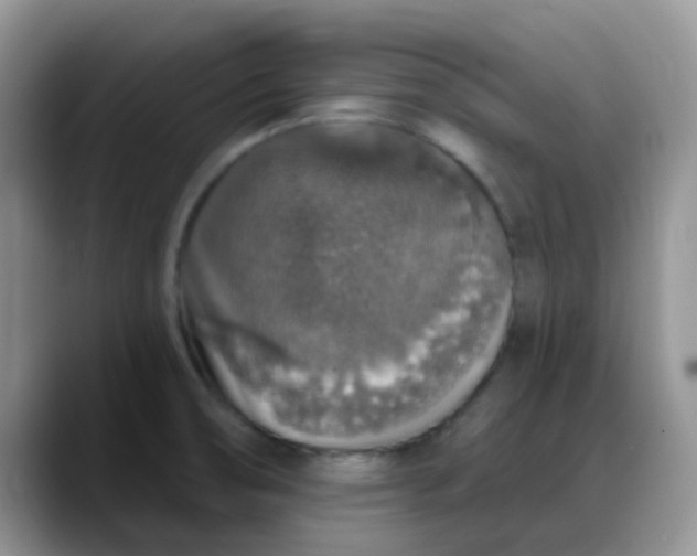 X0000088181474200705291942