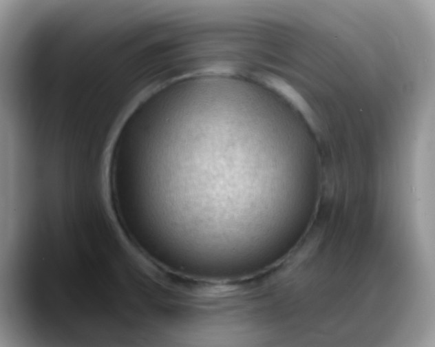 X0000088181475200705291942