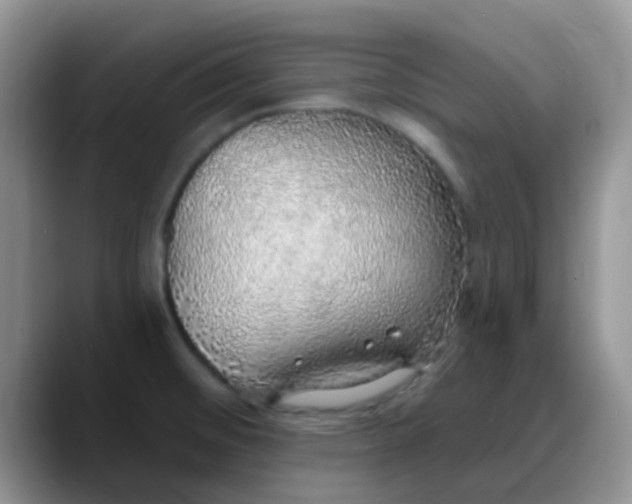 X0000088181476200705291942