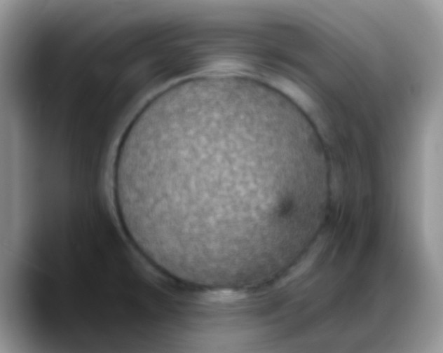 X0000088181478200705291942