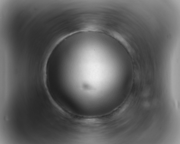 X0000088181479200705291942