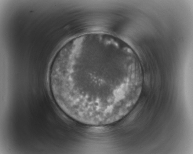 X0000088181482200705291942