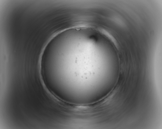 X0000088181483200705291942