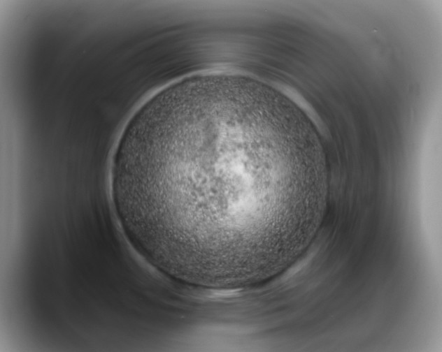 X0000088181484200705291942