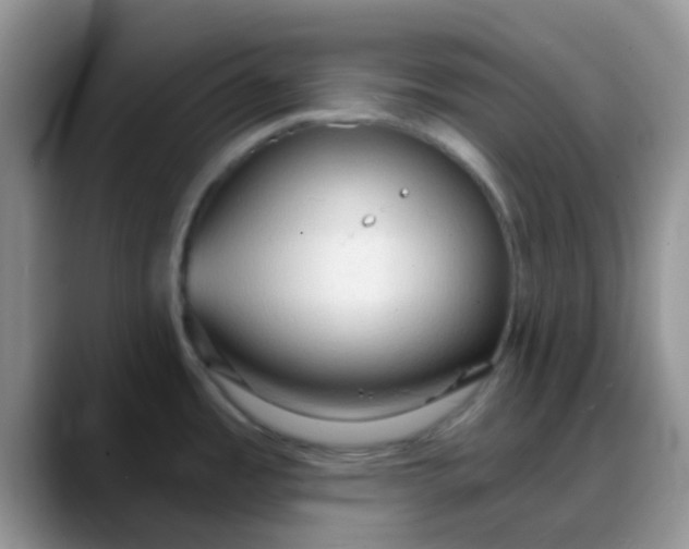 X0000088181485200705291942