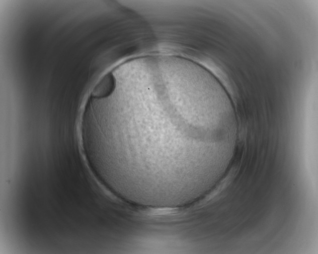 X0000088181486200705291942