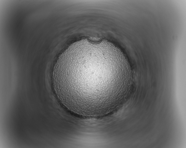X0000088181489200705291941