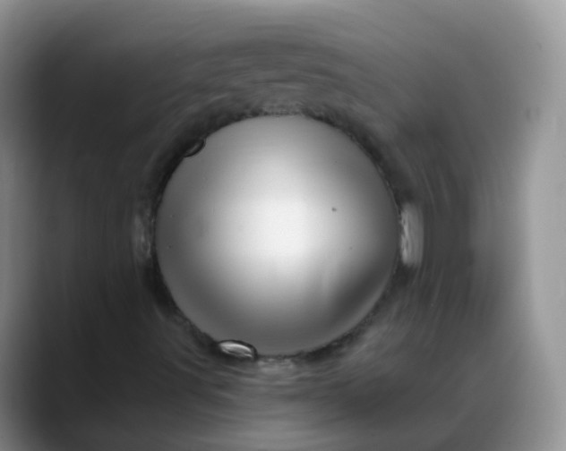 X0000088181491200705291941