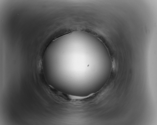 X0000088181492200705291941
