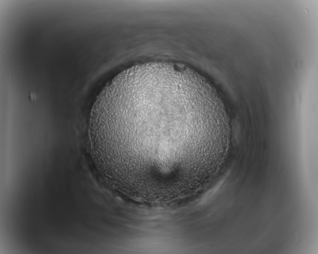 X0000088181494200705291941