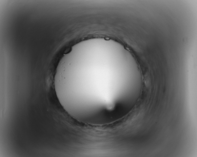 X0000088181495200705291941