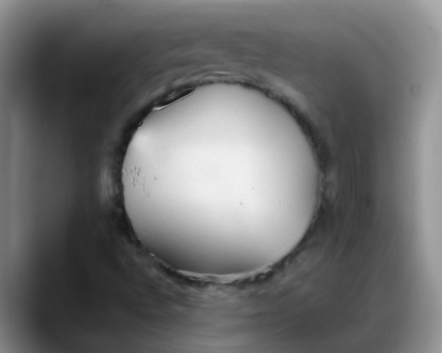X0000088181496200705291941