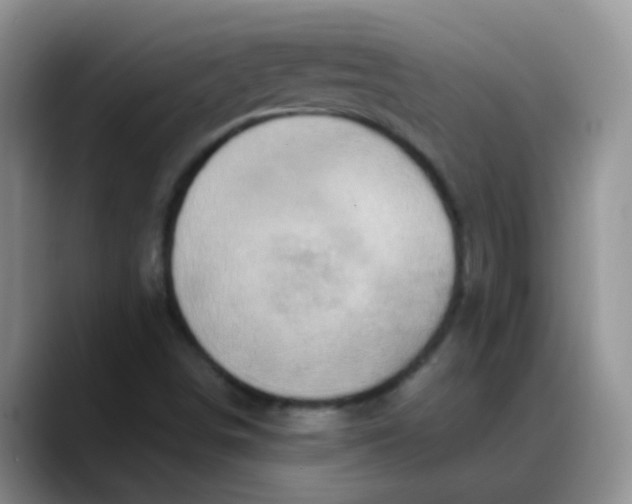 X0000088181498200705291941