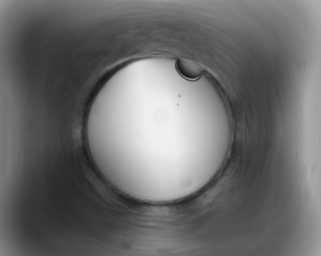 X0000088181499200705291941