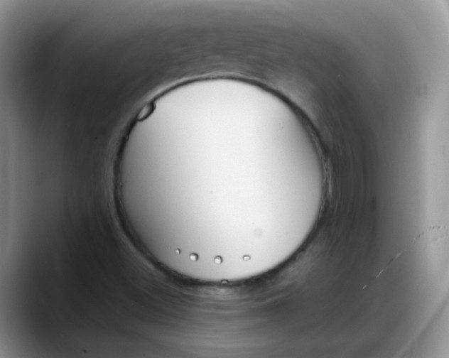 X0000088181500200705291941