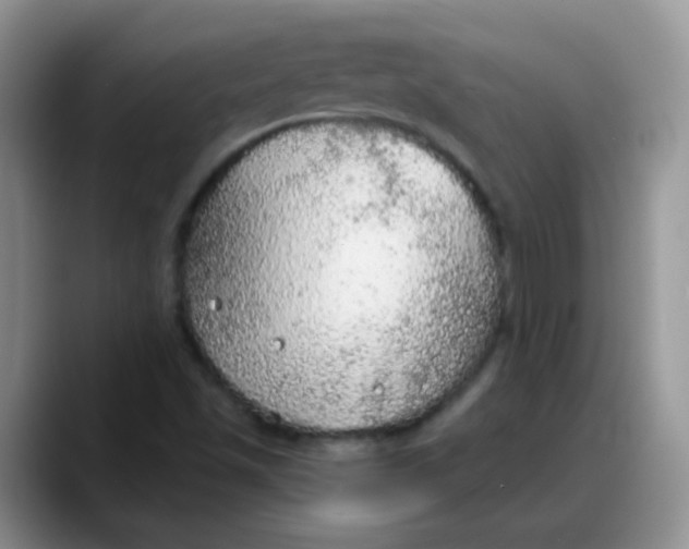 X0000088181501200705291941