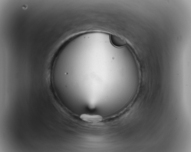 X0000088181503200705291941