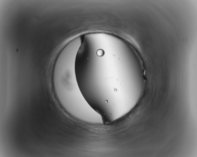 X0000088181504200705291941