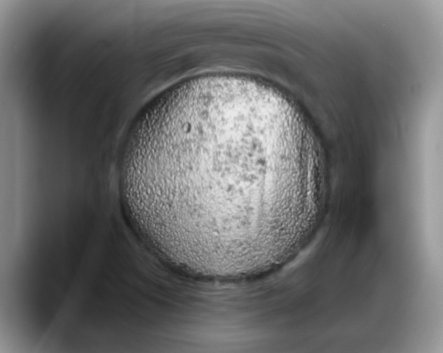 X0000088181505200705291941