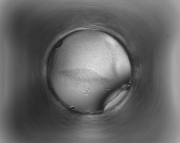 X0000088181506200705291941
