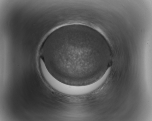 X0000088181508200705291941
