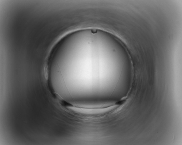 X0000088181510200705291941