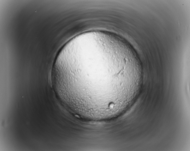 X0000088181513200705291941