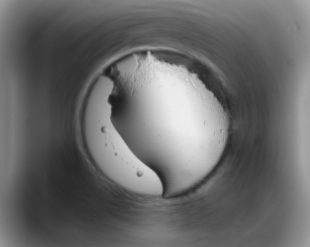 X0000088181514200705291941