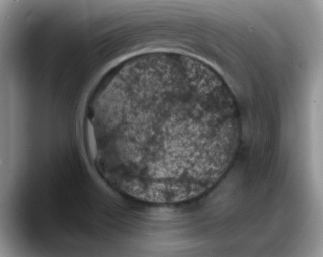 X0000088181515200705291941