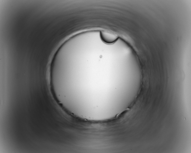 X0000088181516200705291941