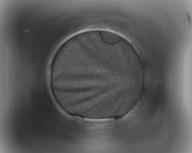 X0000088181519200705291941
