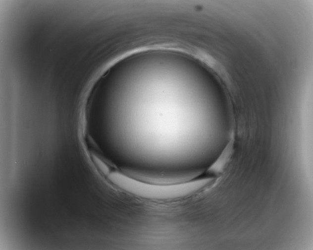 X0000088181520200705291941