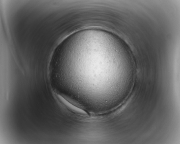 X0000088181521200705291941