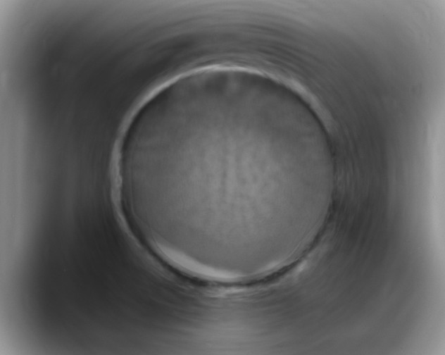 X0000088181522200705291941