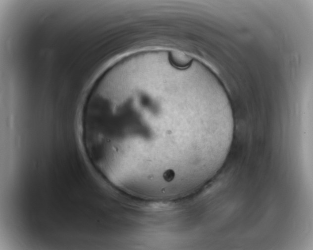 X0000088181523200705291941