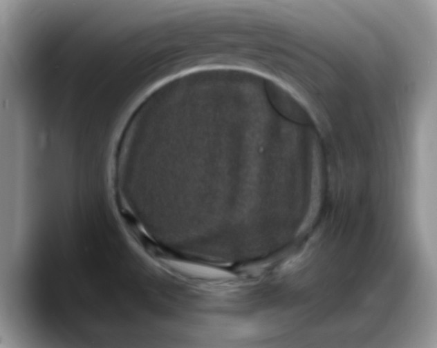 X0000088181527200705291942