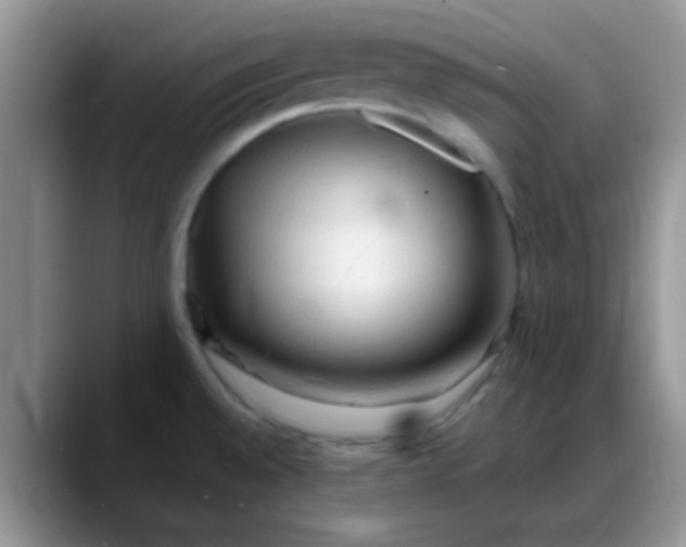 X0000088181528200705291942