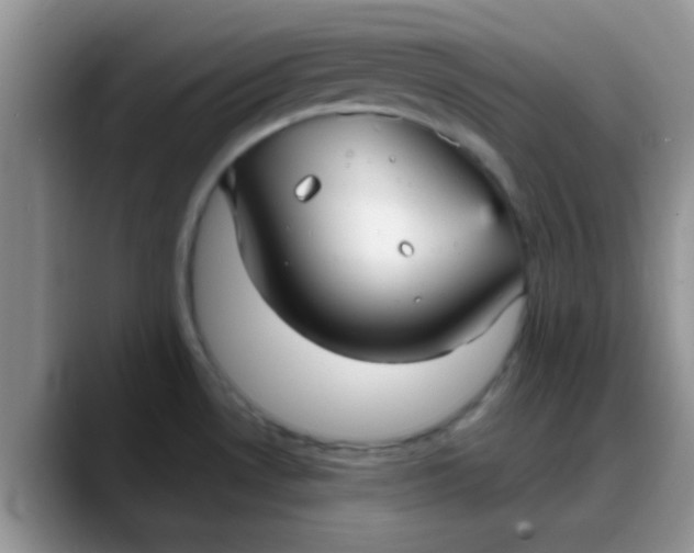 X0000088181530200705291942