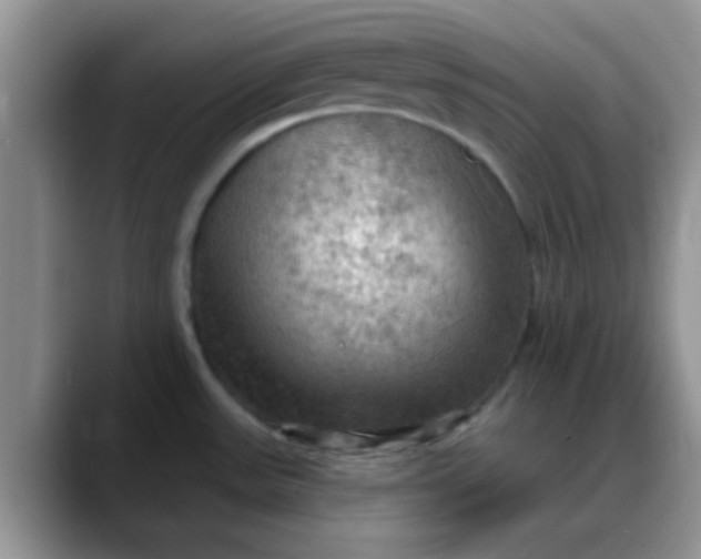 X0000088181531200705291942