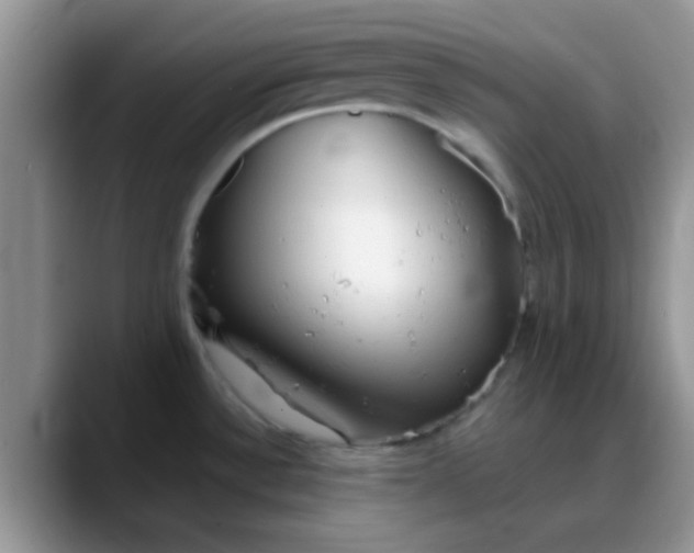 X0000088181532200705291942