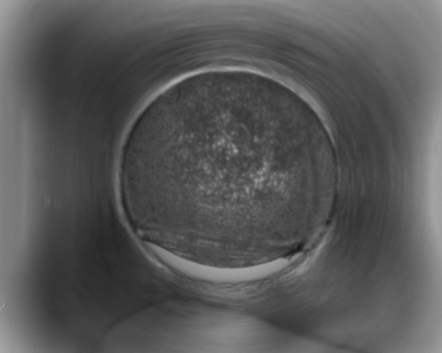 X0000088181533200705291942