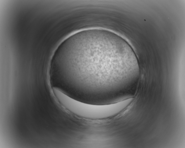X0000088181534200705291942